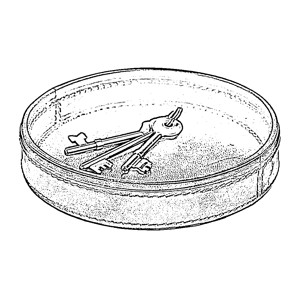 House Warming Goldleaf house-warming-goldleaf