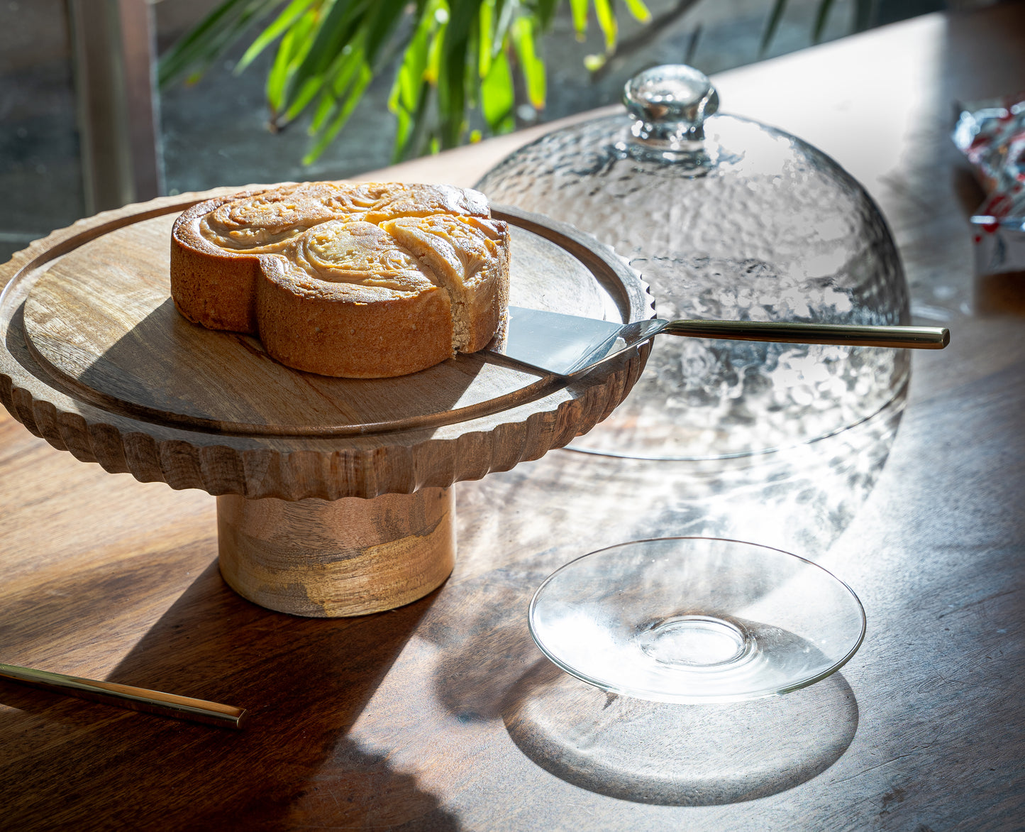 Recycled glass cloche with Wooden stand